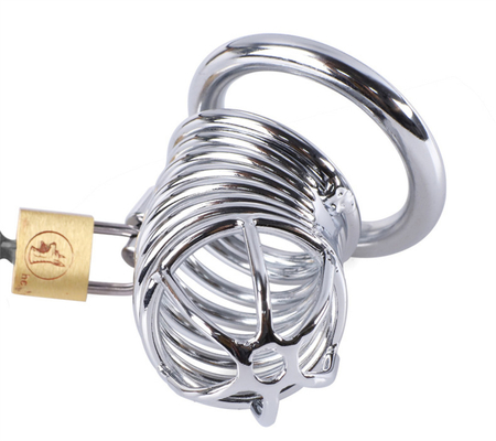 Metal Chastity Penis Cock Cage Uomini Bondage Penis Lock Chastity Time Delay Cages Dispositivo Per Uomini