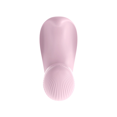 Controllo a distanza masturbatore femminile vibratore giocattoli mutande vibratore per donne