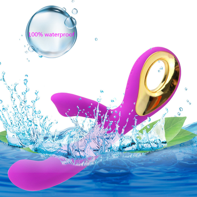 10 velocità Ricaricabile Stimulatore del Clitoride Adulto Intimo Adult Sex Toy Per Donne