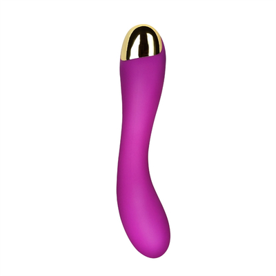 10 velocità Dildo Vibratore USB Ricaricabile G Spot Vibratore Clitoride Massaggio Per Donne