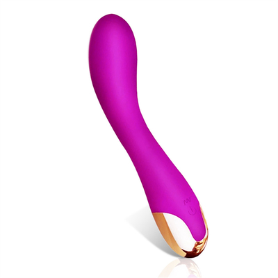 10 velocità Dildo Vibratore USB Ricaricabile G Spot Vibratore Clitoride Massaggio Per Donne
