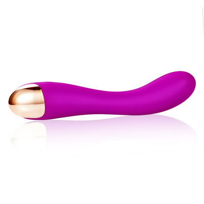 10 velocità Dildo Vibratore USB Ricaricabile G Spot Vibratore Clitoride Massaggio Per Donne