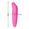 I vibratori rosa del punto G intascano il vibratore di Rocket Dolphin Female Sex Toy