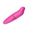 I vibratori rosa del punto G intascano il vibratore di Rocket Dolphin Female Sex Toy